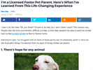 I’m a Licensed Foster Pet Parent